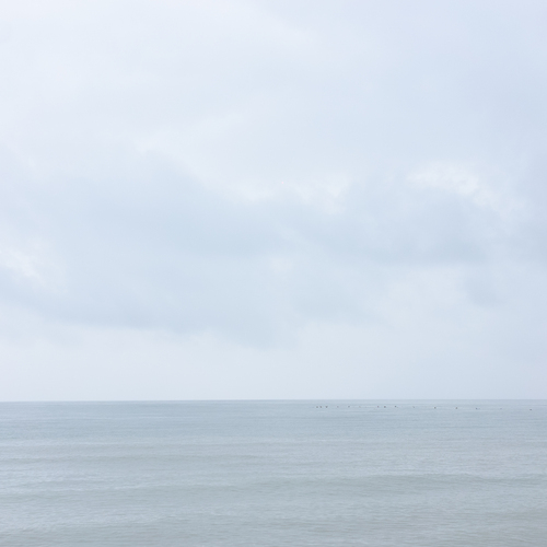 Photo #14016600