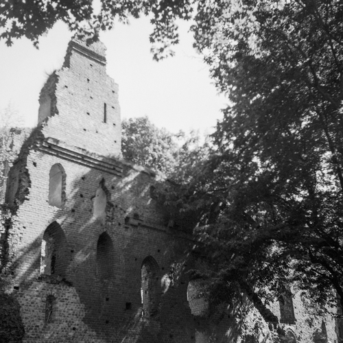 Photo #14016623