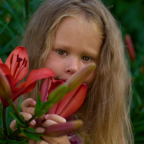 Photo #14016647