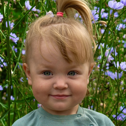 Photo #14016653