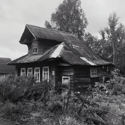 Photo #14016830