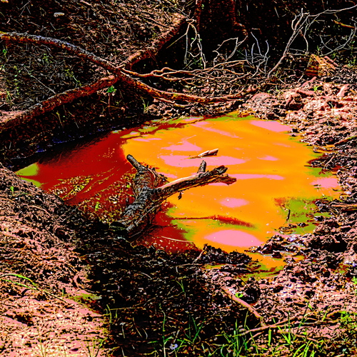 Da Arancio a Rosso