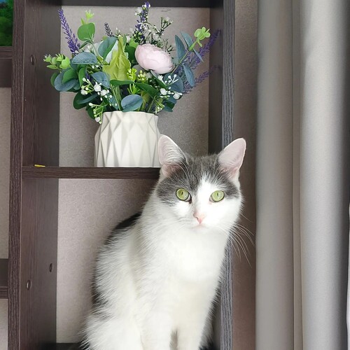 Photo #14017041