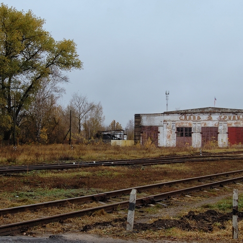 Photo #14017231