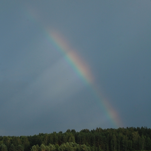 Photo #14017261
