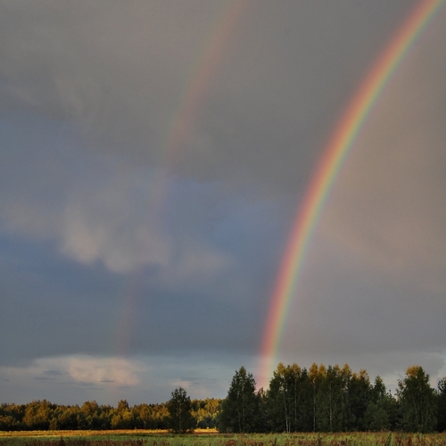 Photo #14017266