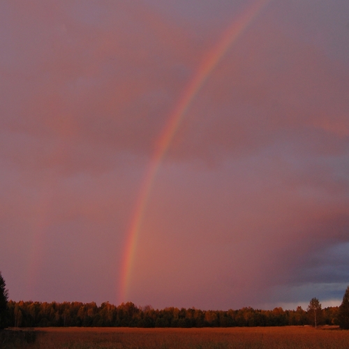 Photo #14017454
