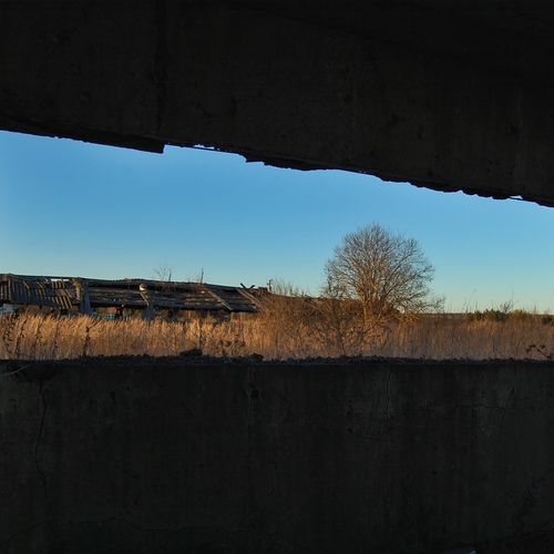 Photo #14017466