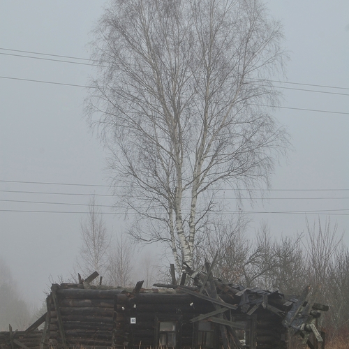 Photo #14017488