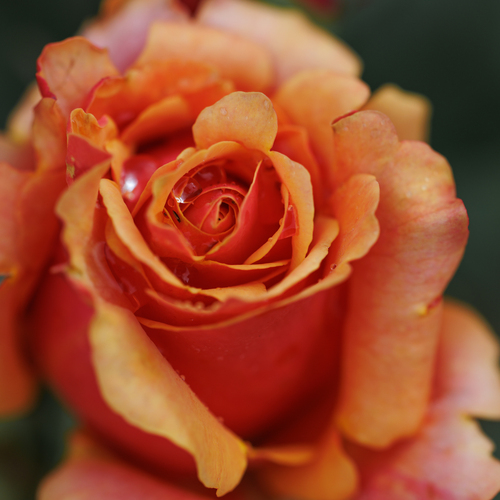 Photo #14017549