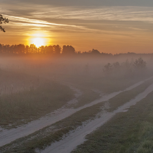 Photo #14017662