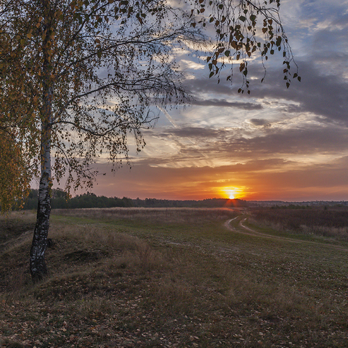 Photo #14017675