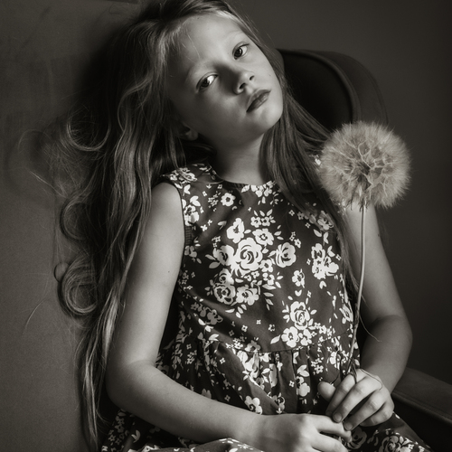 Photo #14017681