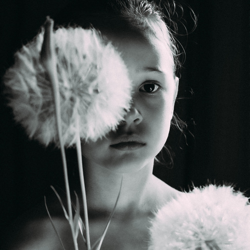 Photo #14017685