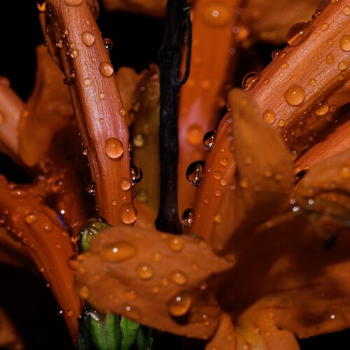 Photo #14017745