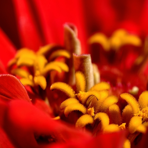 Photo #14017830
