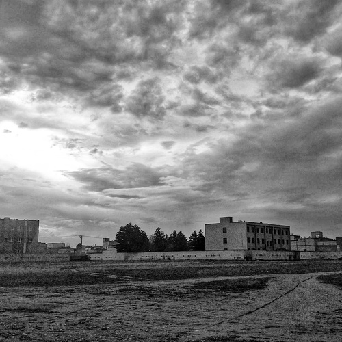 Photo #14017975