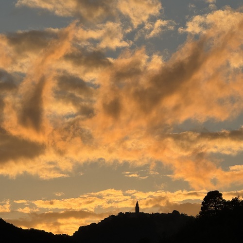 Photo #14018224