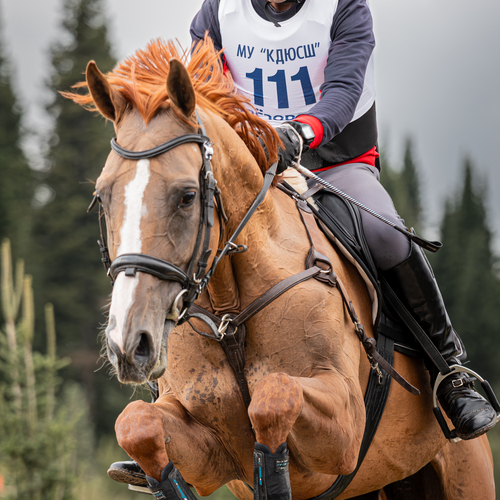 Photo #14018299