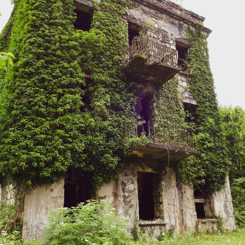 Photo #14018302