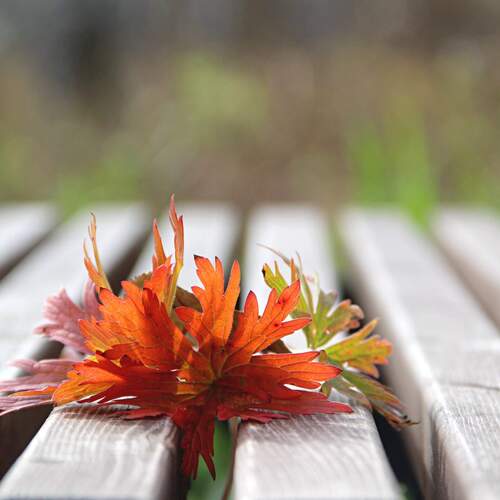 Photo #14018458