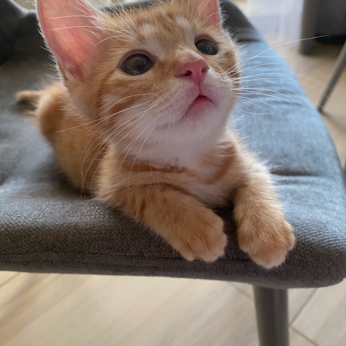 Photo #14018478