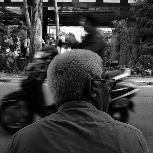 Photo #14018608