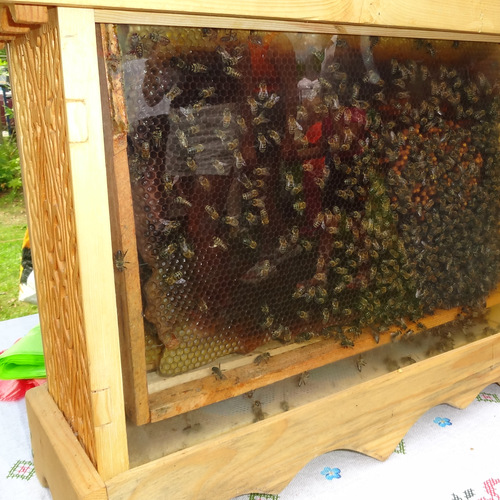 Photo #14018670