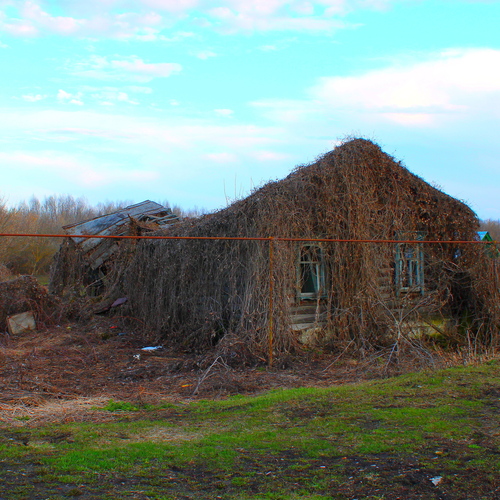 Photo #14018685