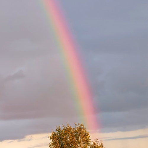 Photo #14018698
