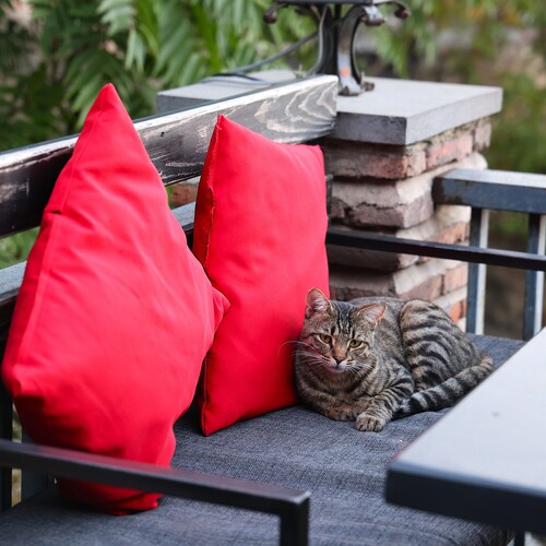 Photo #14018705