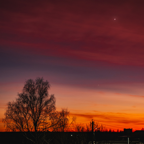 Photo #14018765