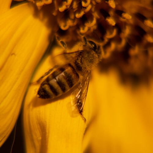 Photo #14018774