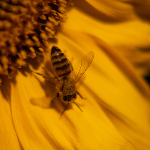 Photo #14018779