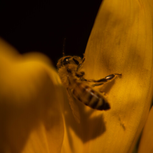 Photo #14018788