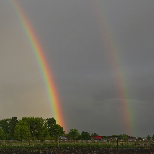 Photo #14018789