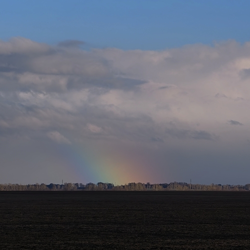 Photo #14018791