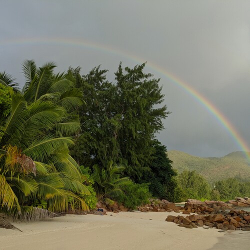 Photo #14018863