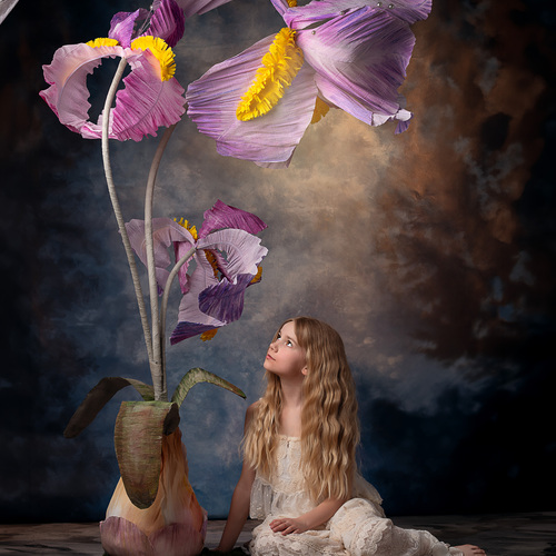 Photo #14018953
