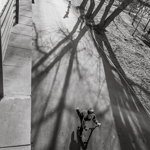 Photo #14019613