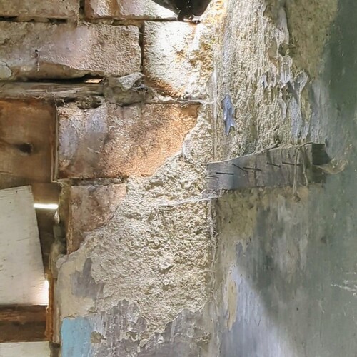 Photo #14020272