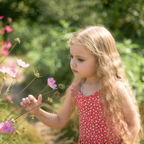 Photo #14020330