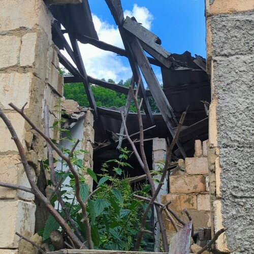 Photo #14020349
