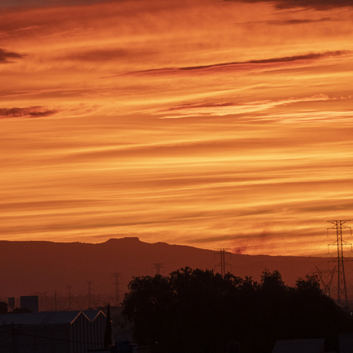 Photo #14020452