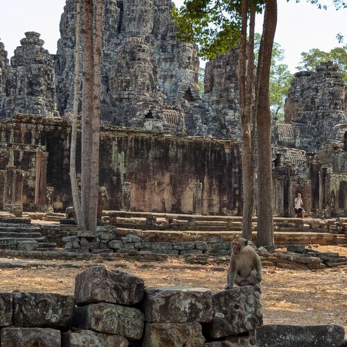 Photo #14020497