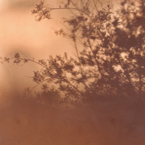 Photo #14020610