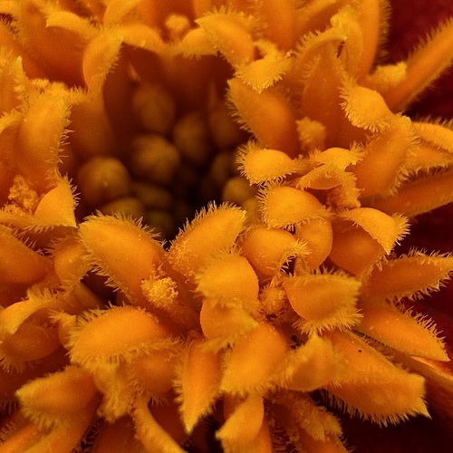 Photo #14020634