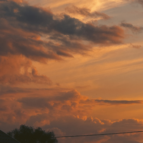 Photo #14020641
