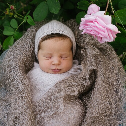 Photo #14020684