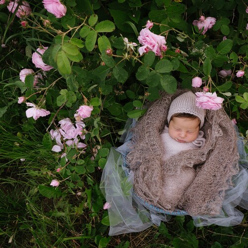Photo #14020686